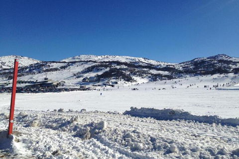 Naturescape - Lismore Accommodation 3