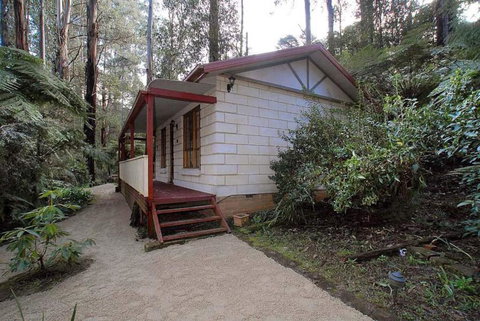 Fernglen Forest Retreat - Lismore Accommodation 5