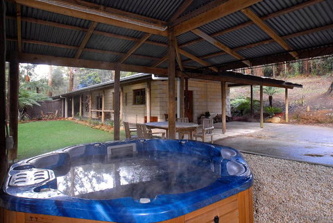 Fernglen Forest Retreat - Lismore Accommodation 6