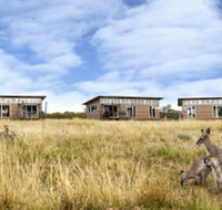 Savannah Cabins - Lismore Accommodation