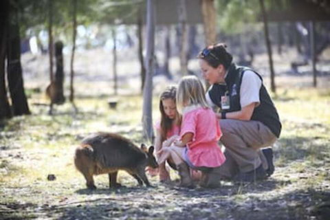 Billabong Camp Taronga Western Plains Zoo - Lismore Accommodation 6