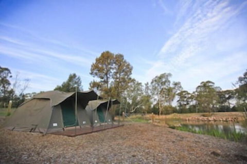 Billabong Camp Taronga Western Plains Zoo - Lismore Accommodation 4