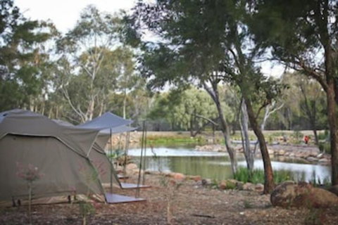 Billabong Camp Taronga Western Plains Zoo - Lismore Accommodation 2