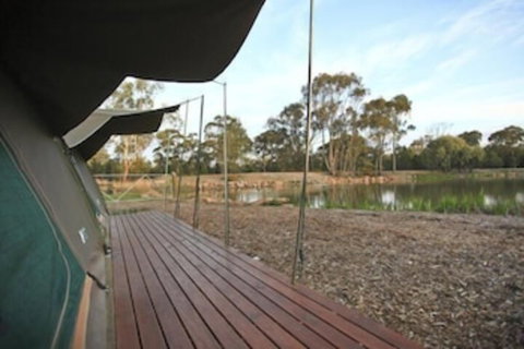 Billabong Camp Taronga Western Plains Zoo - Lismore Accommodation 5