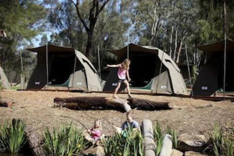 Billabong Camp Taronga Western Plains Zoo - Lismore Accommodation 7