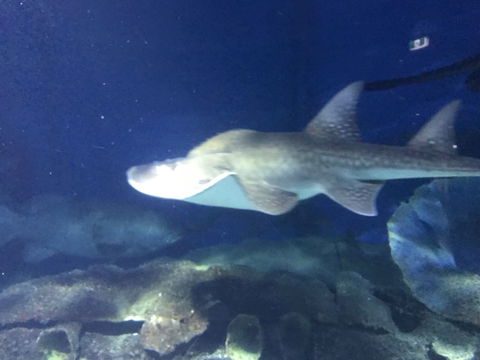 Bayviews Apartment - Lismore Accommodation 6