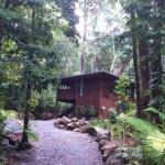 Black Palm Cape Tribulation - Lismore Accommodation 0