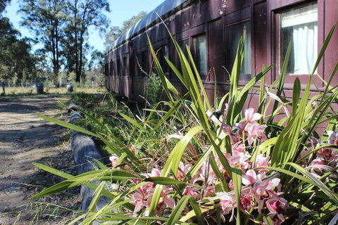 Krinklewood Cottage & Train Carriages - Lismore Accommodation 2