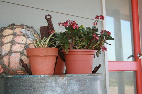 Bremer Bay B & B - Lismore Accommodation 2