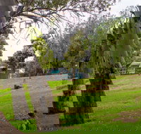 Windsor Gardens Caravan Park - Lismore Accommodation