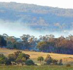 Candlebark Retreat - Lismore Accommodation