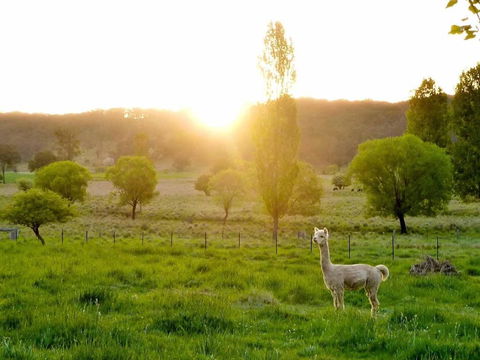 Glen Waverly Farmstay - Lismore Accommodation 6
