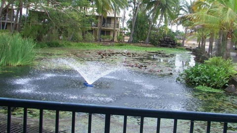 Bushland Beach Tavern - Lismore Accommodation 2