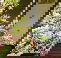 Apple Blossom Cottage - Lismore Accommodation