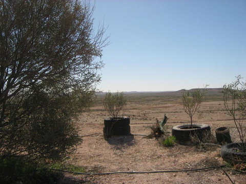 Venushill B+B - Lismore Accommodation 6