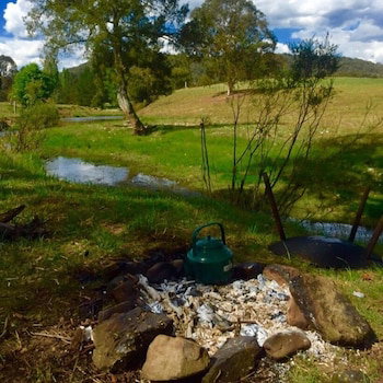 Waterfall Way Farmstay - Lismore Accommodation 6