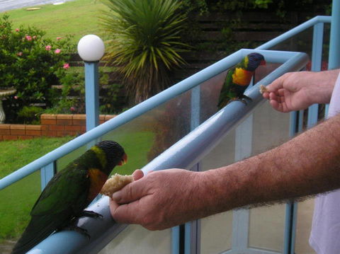 Narooma Golfers Lodge - Lismore Accommodation 3