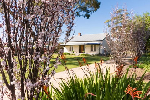 20 Hill Avenue Bed & Breakfast - Lismore Accommodation 3