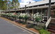 Golden Heritage Accommodation - thumb 0