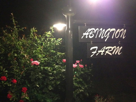 Abington Farm - Lismore Accommodation 4