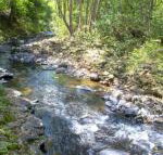 Tallaringa Views - Lismore Accommodation