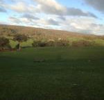 Mancuso Country Cottage Retreat - Lismore Accommodation