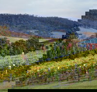 De Bortoli Winery  Restaurant - Lismore Accommodation