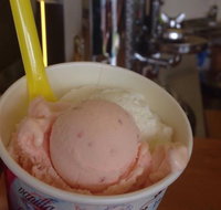 Bermagui Gelati Clinic - Lismore Accommodation