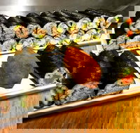 Freewave Sushi  Burgers - Lismore Accommodation