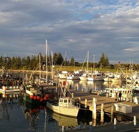 Horse  Camel - Lismore Accommodation