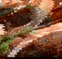 Familiar Takeaway - Lismore Accommodation