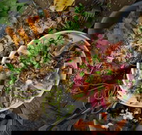 OlleyvilleShaw - Lismore Accommodation