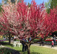 Mirchi Indian Cuisine - Lismore Accommodation