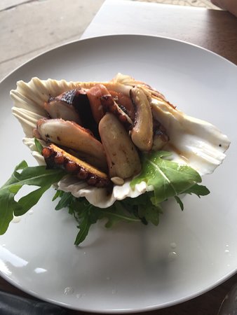 Olive At Hawker - Lismore Accommodation 0