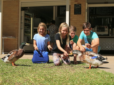 Arkarra Gardens Cafe And Restaurant - Lismore Accommodation 2