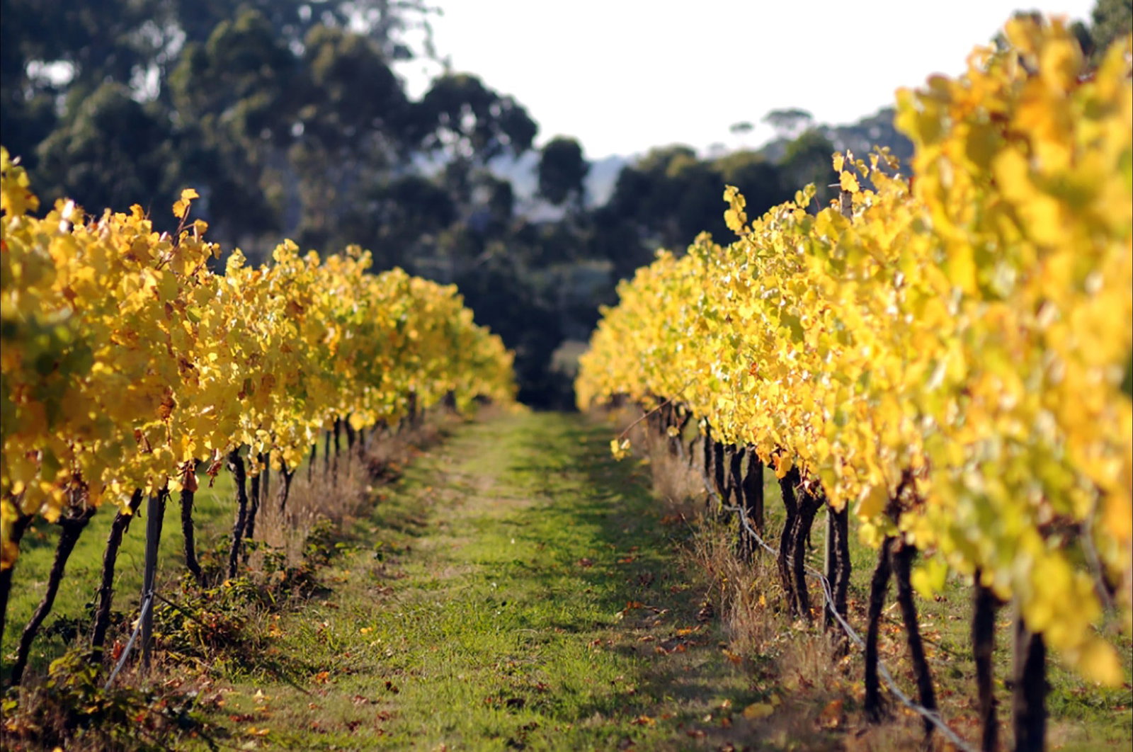 Lismore Accommodation