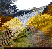 Prickly Moses Brewery - Lismore Accommodation