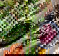 D For Dumplings - Lismore Accommodation