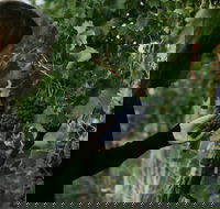 Rowlee Vine To Table Experience - Lismore Accommodation