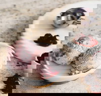 Gelatissimo - Wetherill Park - Lismore Accommodation