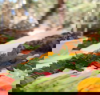 Hanson Bay Wildlife Sanctuary Cafe - Lismore Accommodation