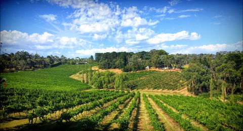 Kellybrook Winery And Kelly Brothers Cider - Lismore Accommodation 0