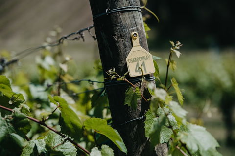 Kellybrook Winery And Kelly Brothers Cider - Lismore Accommodation 2