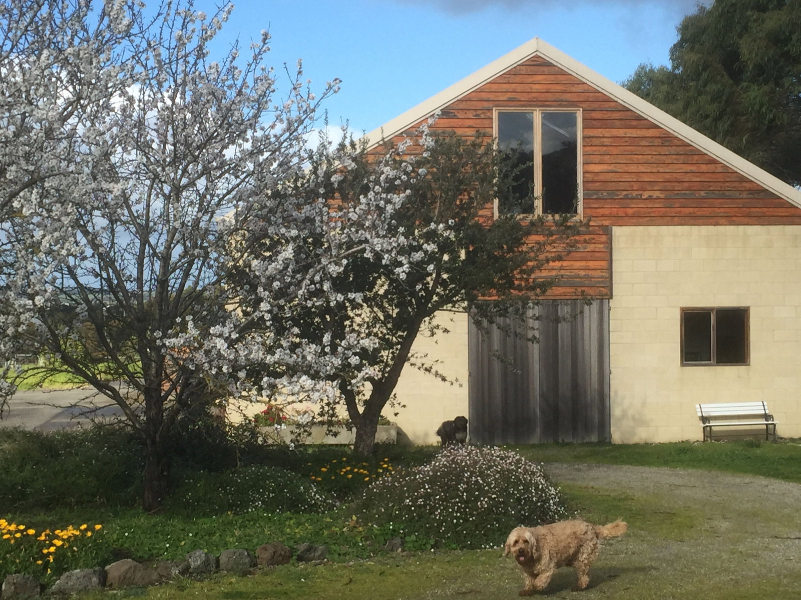 Drysdale VIC Lismore Accommodation