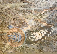 Salt. Coffee Roasters - Lismore Accommodation