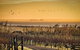 Scotchmans Hill - thumb 1