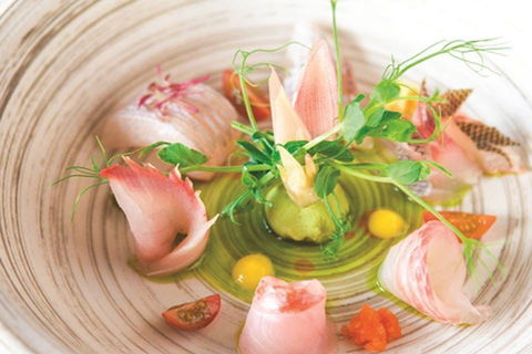 TARA SUSHI BAR - Lismore Accommodation 0