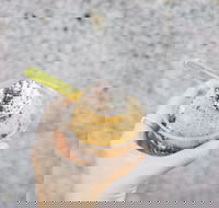 Spice Cottage - Lismore Accommodation