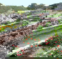 The Farmer's Place - Lismore Accommodation