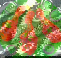 Coconut Lagoon Indian Cuisine - Lismore Accommodation